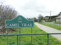 The Camel Trail near Padstow Wadebridge Cornwall